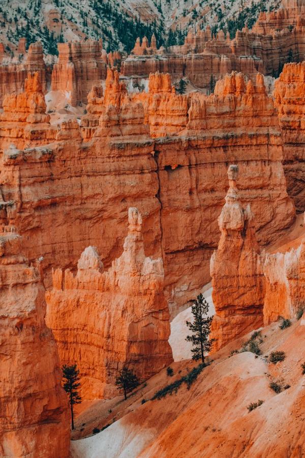 Wander Camp Bryce Canyon - Escalante 캐논빌 외부 사진